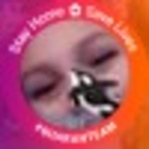 Meet your Posher, Autumn